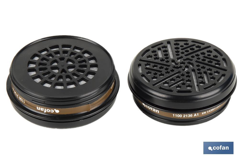 SET 2 FILTROS TIPO A1