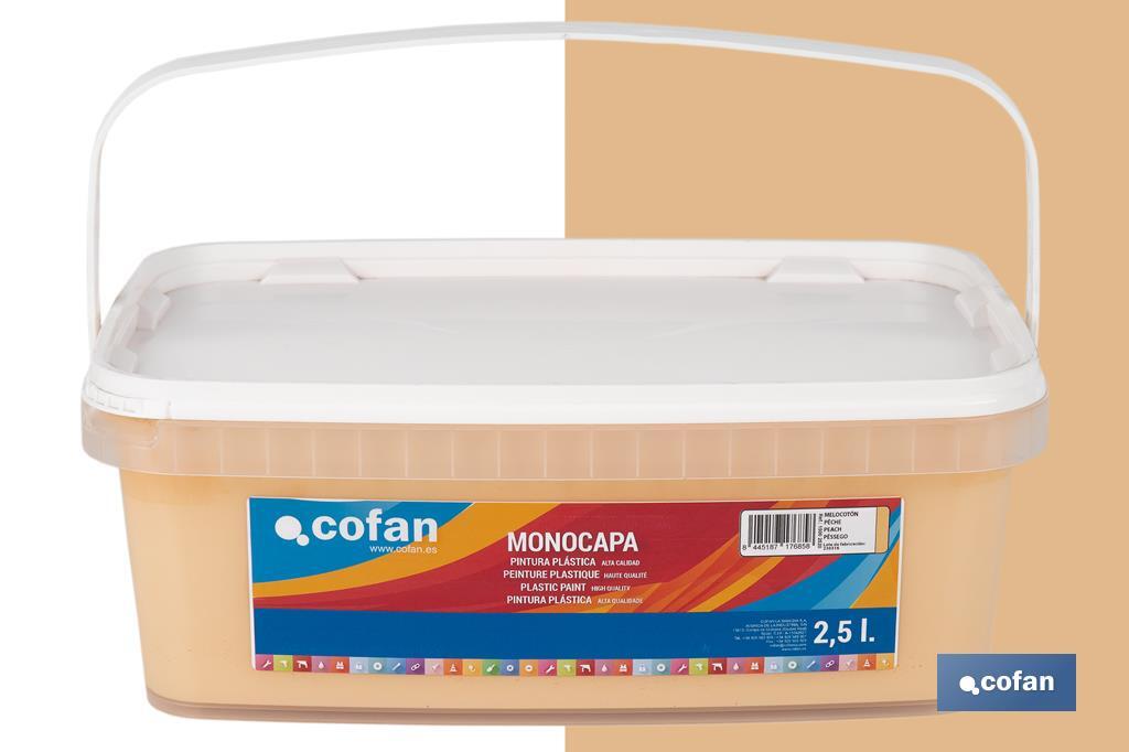 PINTURA PLÁSTICA MONOCAPA Melocoton (2,5 LT)