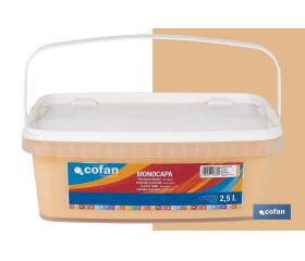 PINTURA PLÁSTICA MONOCAPA Melocoton (2,5 LT)