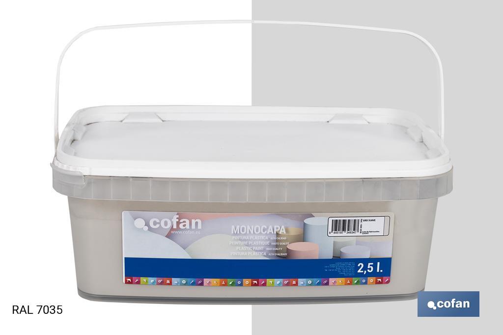PINTURA PLÁSTICA MONOCAPA GRIS SUAVE 2,5 L