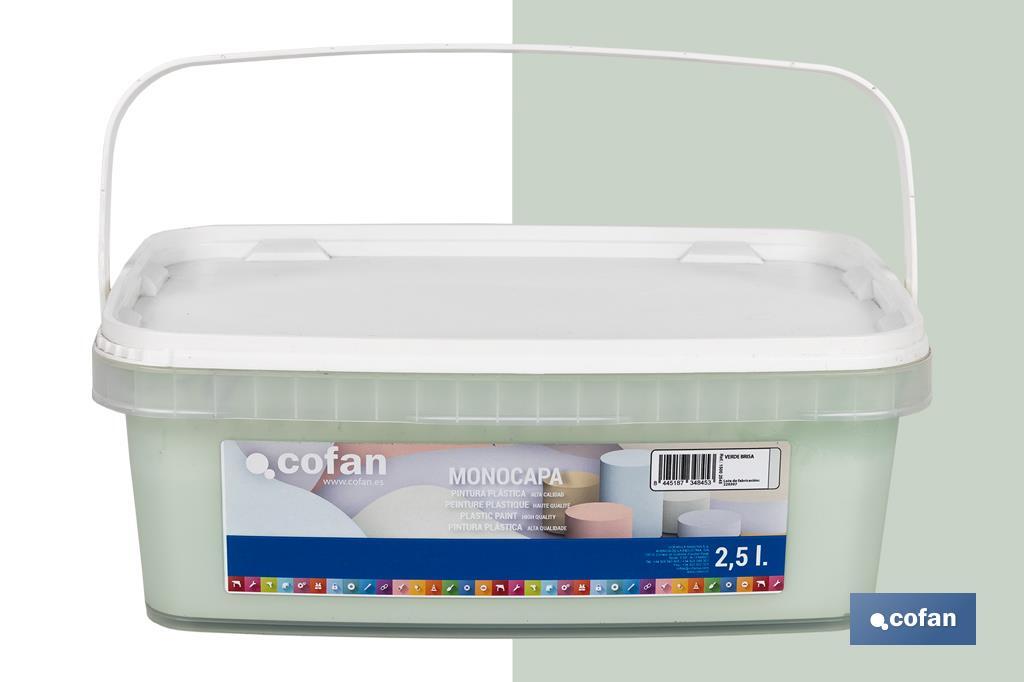 PINTURA PLÁSTICA MONOCAPA VERDE BRISA 2,5 L