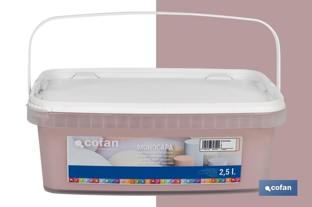 PINTURA PLÁSTICA MONOCAPA ROSA NUDE 2,5 L