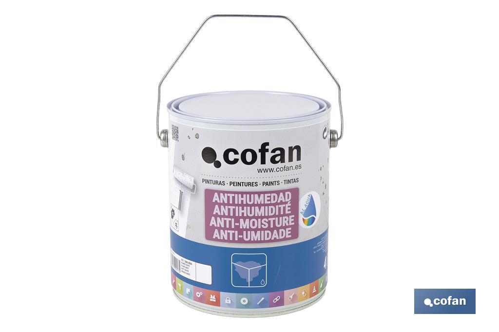 PINTURA ANTIHUMEDAD AL AGUA (4 L)  BLANCO MATE
