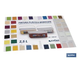 CARTA DE COLORES PINTURA PLASTICA MONOCAPA