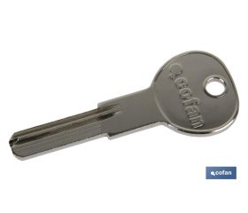 Llaves en bruto seguridad | Copia de llaves para cilindro de Seguridad | Pack de 5 copias de llaves en bruto