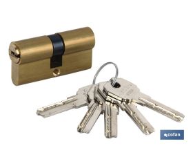 Cilindro Seguridad Llave Normal Leva Larga