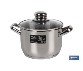 Olla de Acero Inoxidable | Con Tapa de vidrio | Acabado brillante Resistente al oxido | Diferentes Capacidades y Diámetros