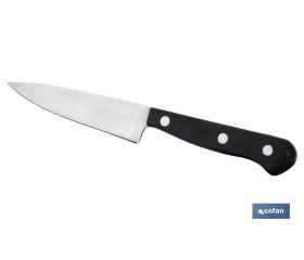 Cuchillo mondador | Modelo Saffron | Medida de 10,5 cm | Hoja de Acero Inox | Mango de Polioximetileno | Color Negro