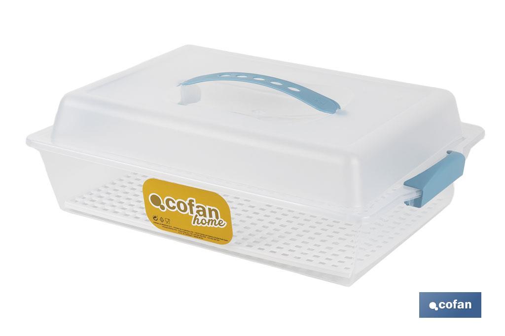 TARTERA RECTANGULAR AZUL OPACA PAVLOVA CON ASAS 38 X 28 X 13 CM