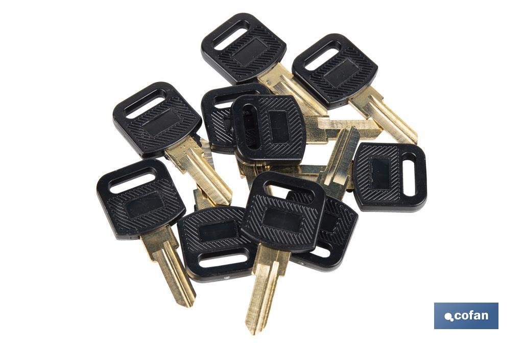 LLAVE EN BRUTO PARA BUZON