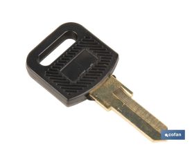 Llave en bruto adecuada para los buzones Cofan