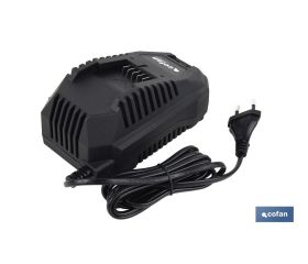 CARGADOR DE BATERÍAS CARGA RÁPIDA 20 V - 4,5 A