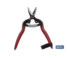 TIJERA RECOLECCION 165mm CURVA