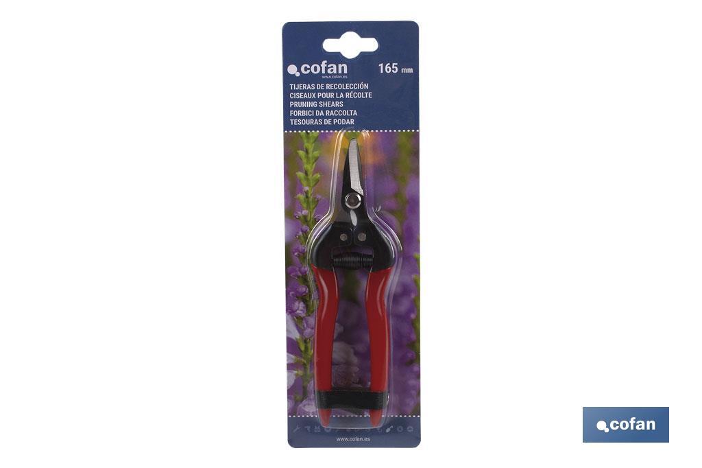 TIJERA RECOLECCION 165mm CURVA