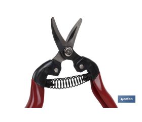 TIJERA RECOLECCION 165mm CURVA