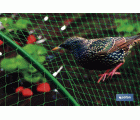 MALLA ANTIPAJAROS 2X5M 7G/M2