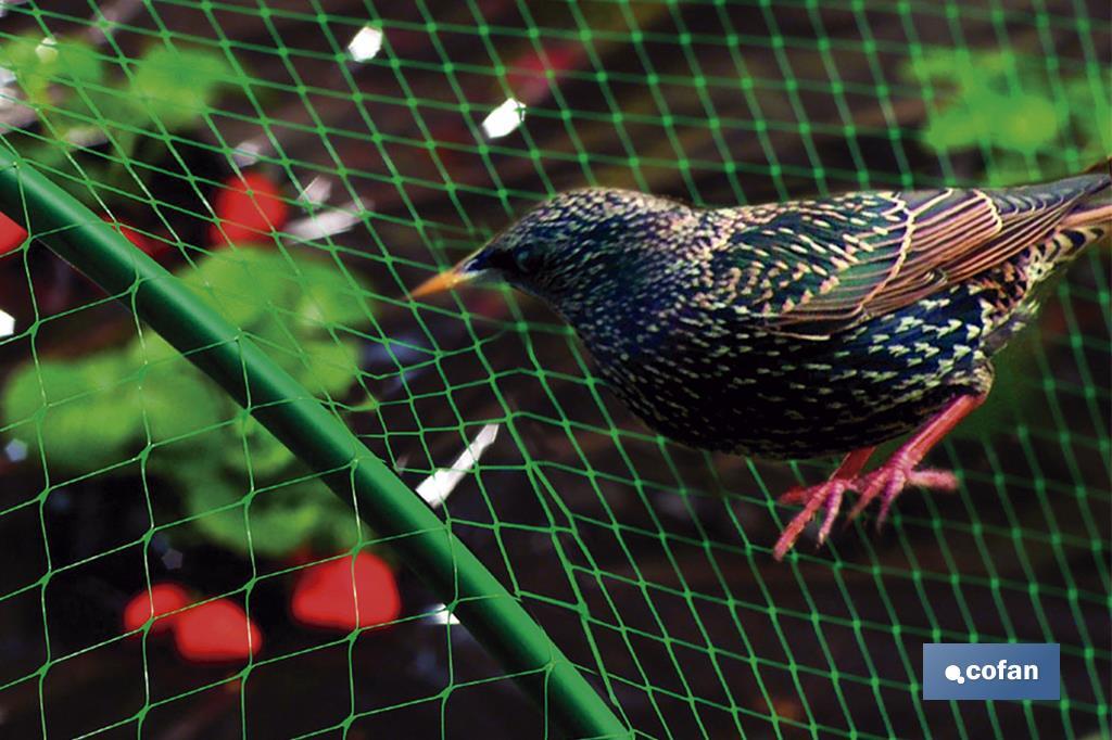 MALLA ANTIPAJAROS 2X5M 7G/M2