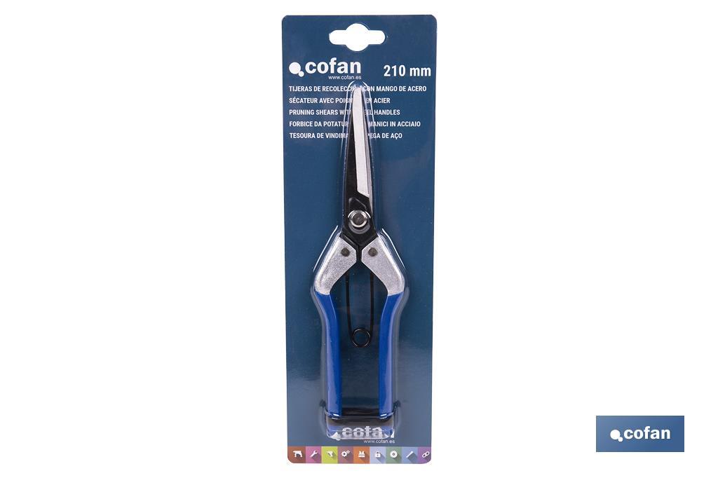 TIJERA RECOLECCION 210MM MANGO ACERO