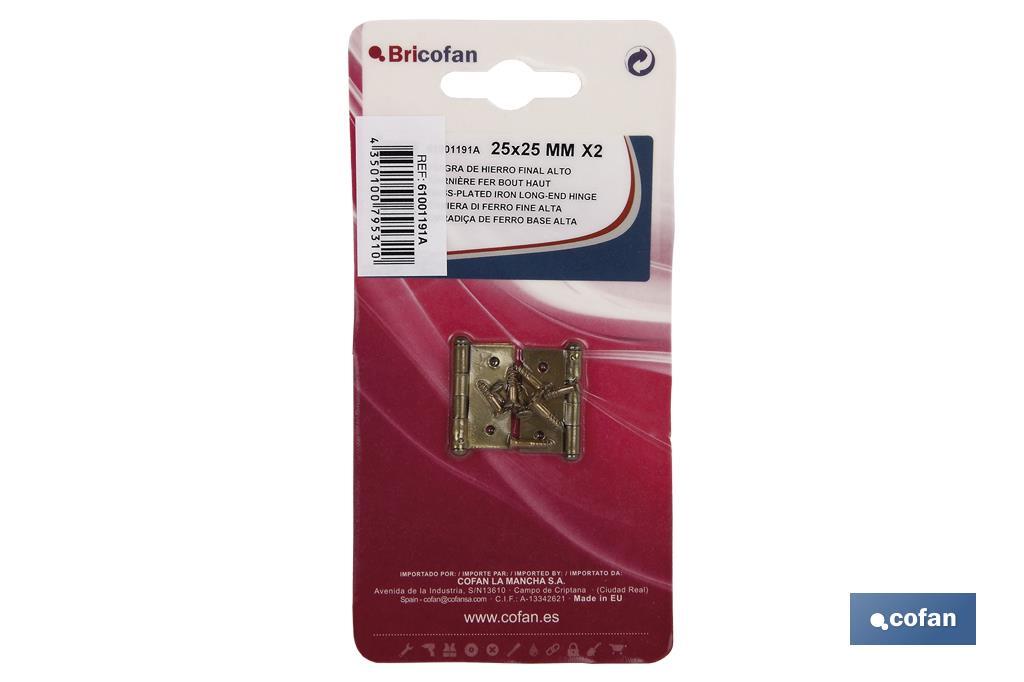 2 UDS BISAGRA HIERRO LATON FIN ALTO 25 X 25