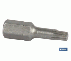 Punta XZN Extra dura de atornillar | Modelo 1/4 XZN | Longitud 25 mm