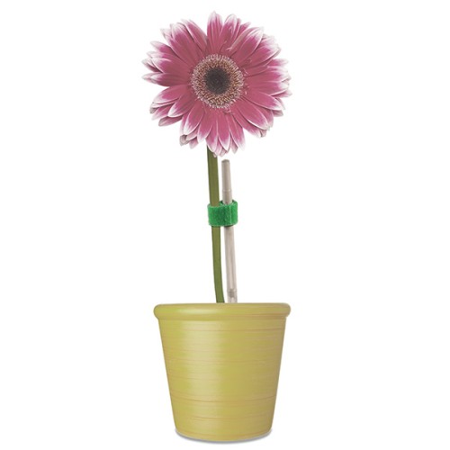 Mod. B4247-V Cinta de cierre téxtil doble cara 12mmx3m. Verde [Blister 1 rollo]