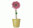 Mod. B4247-V Cinta de cierre téxtil doble cara 12mmx3m. Verde [Blister 1 rollo]