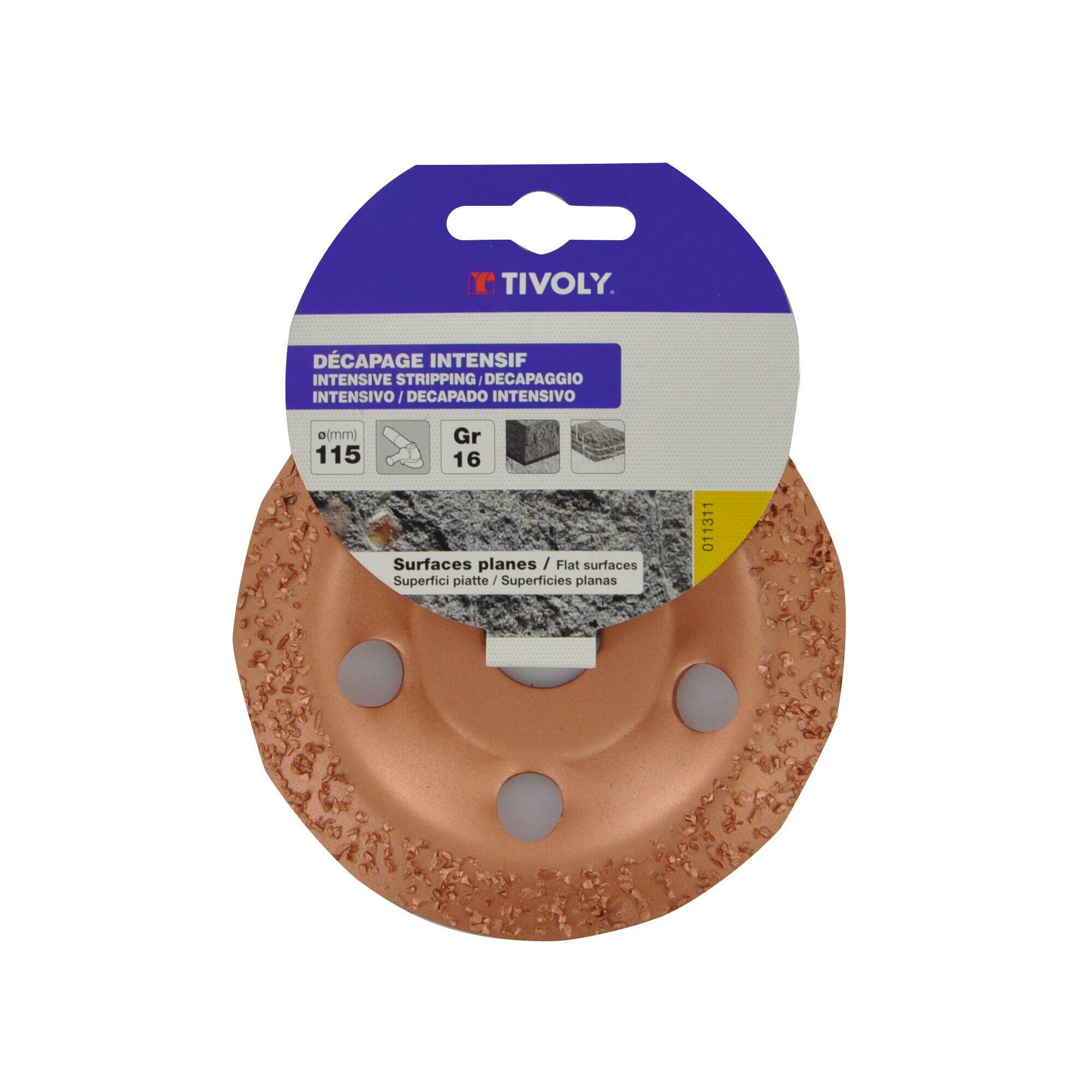 Disco CARBURO DE TUNGSTENO (Cartoncillo colgante) / Dim Ø115 / Gr : 10