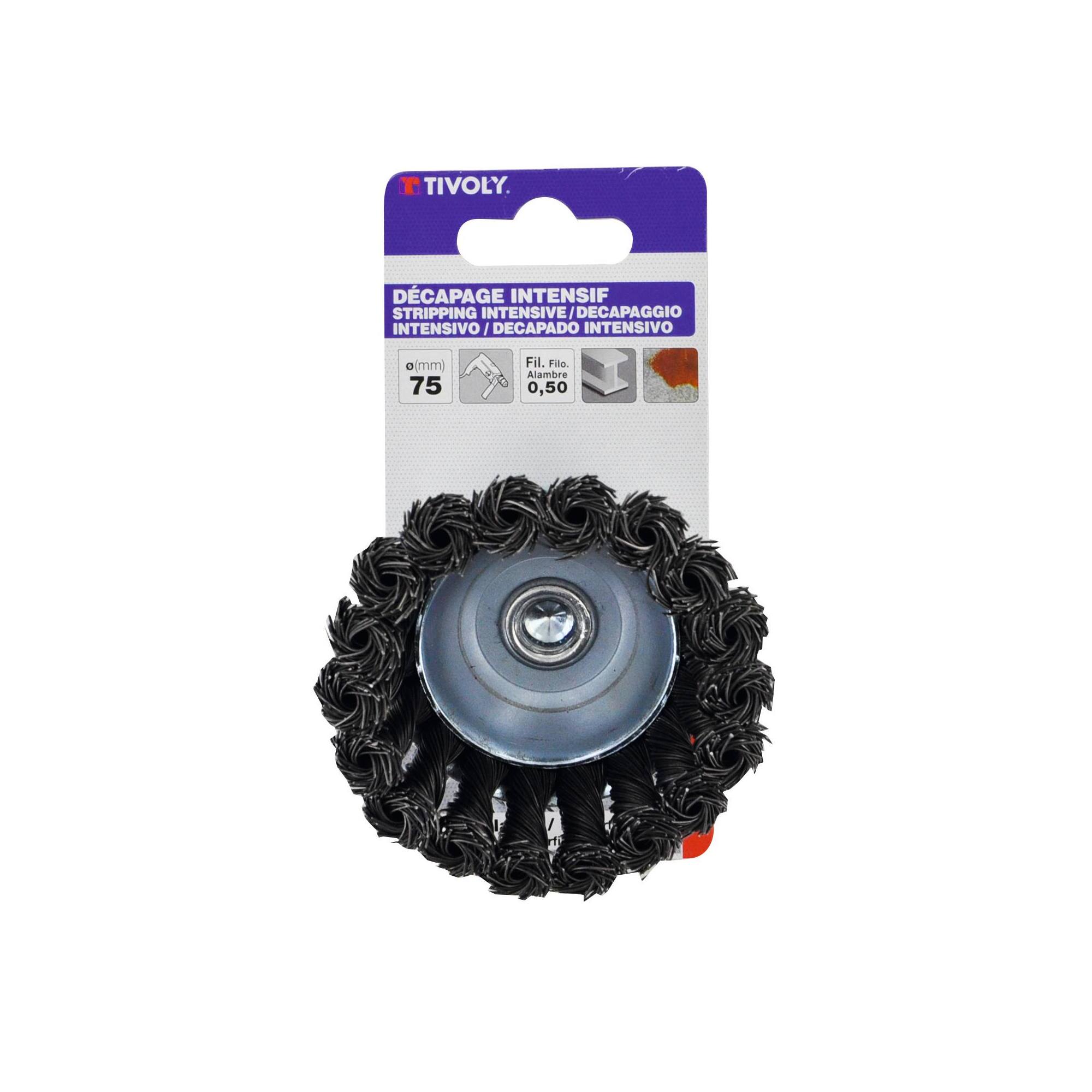 Cepillo COPA -Alambre de acero trenzado -Decapado grueso de metal (Cartoncillo colgante) / Ø: 75 / 0.5