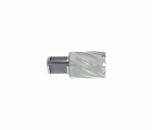 Adaptador Fein ==> Accesorio Weldon Ø 19 mm