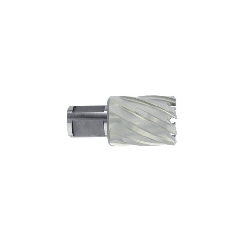 Adaptador Fein ==> Accesorio Weldon Ø 19 mm