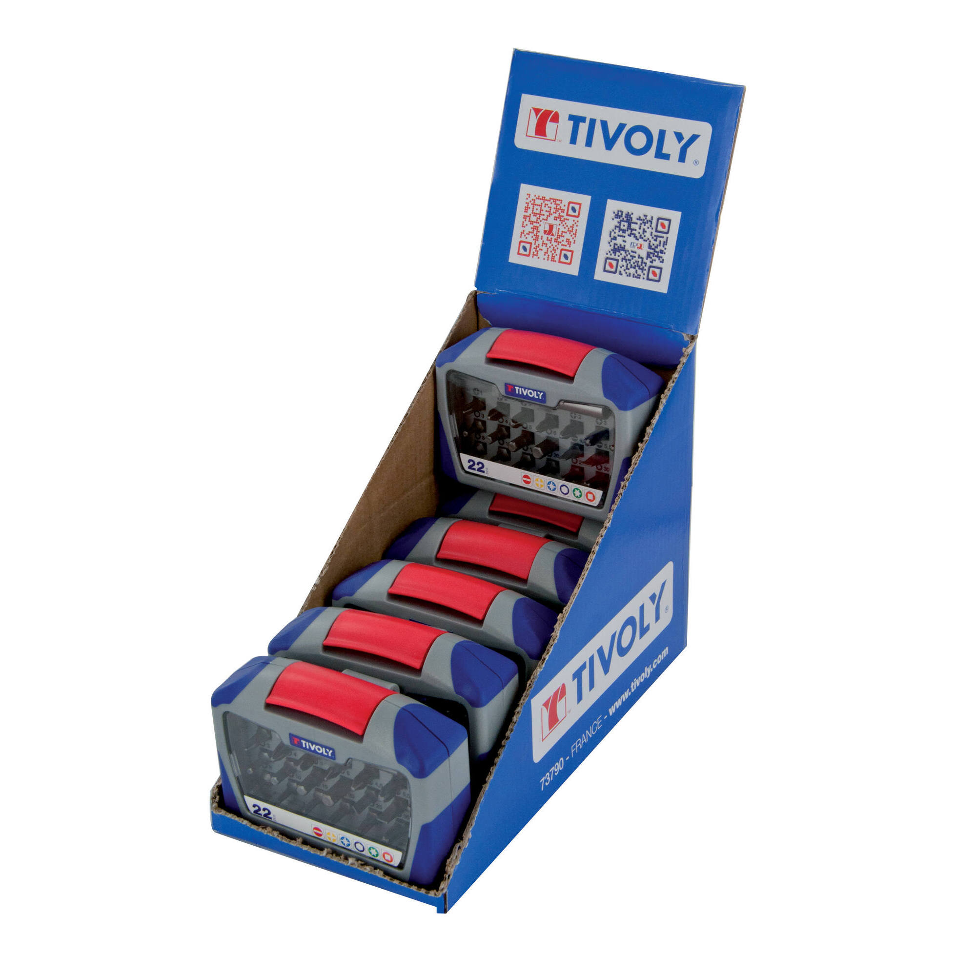 22 piezas -21 puntas estándar + 1 portapuntas