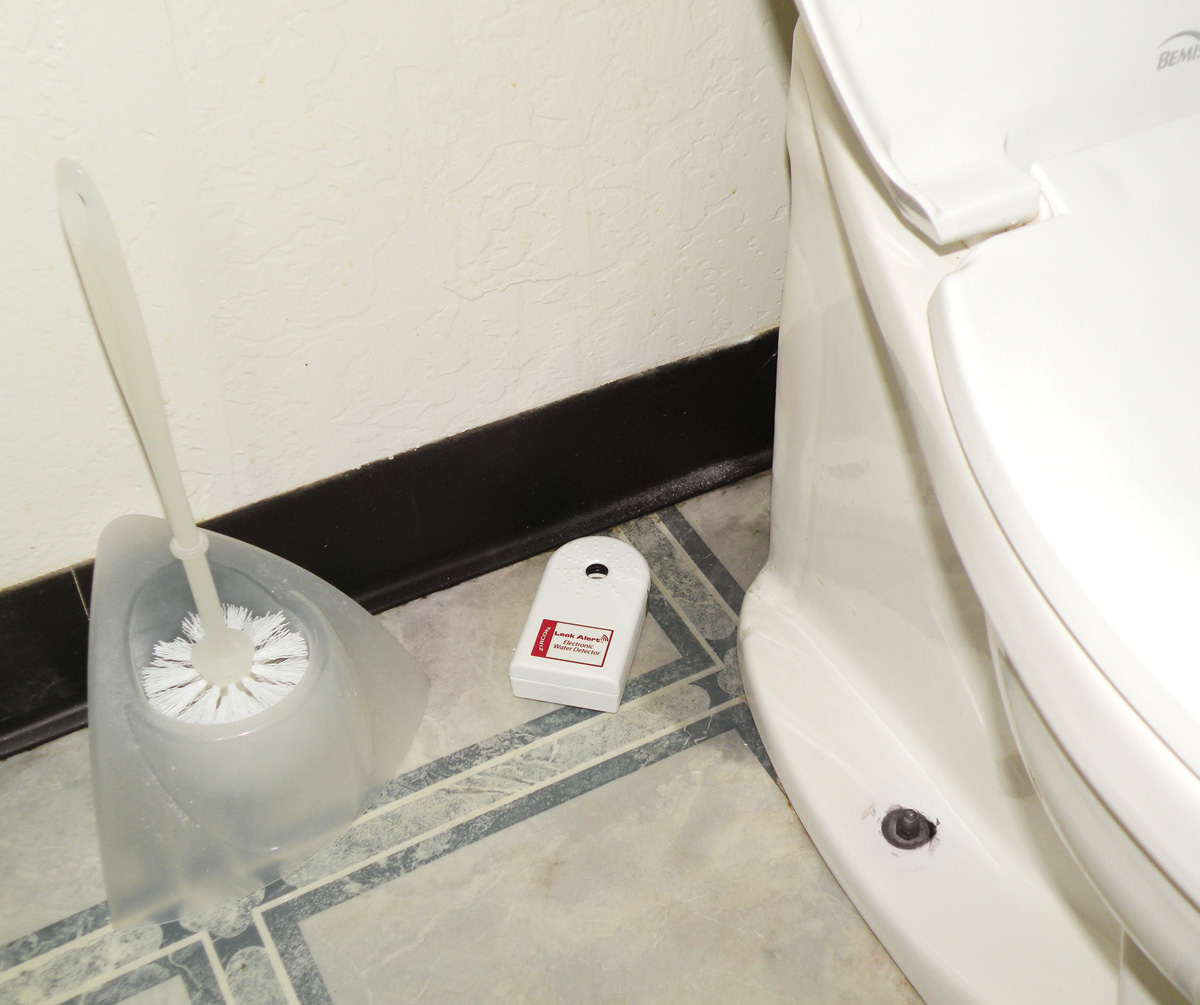 Detector ZIRCON Leak Alert™