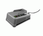 Cargador rápido Battery Power+ 18/60