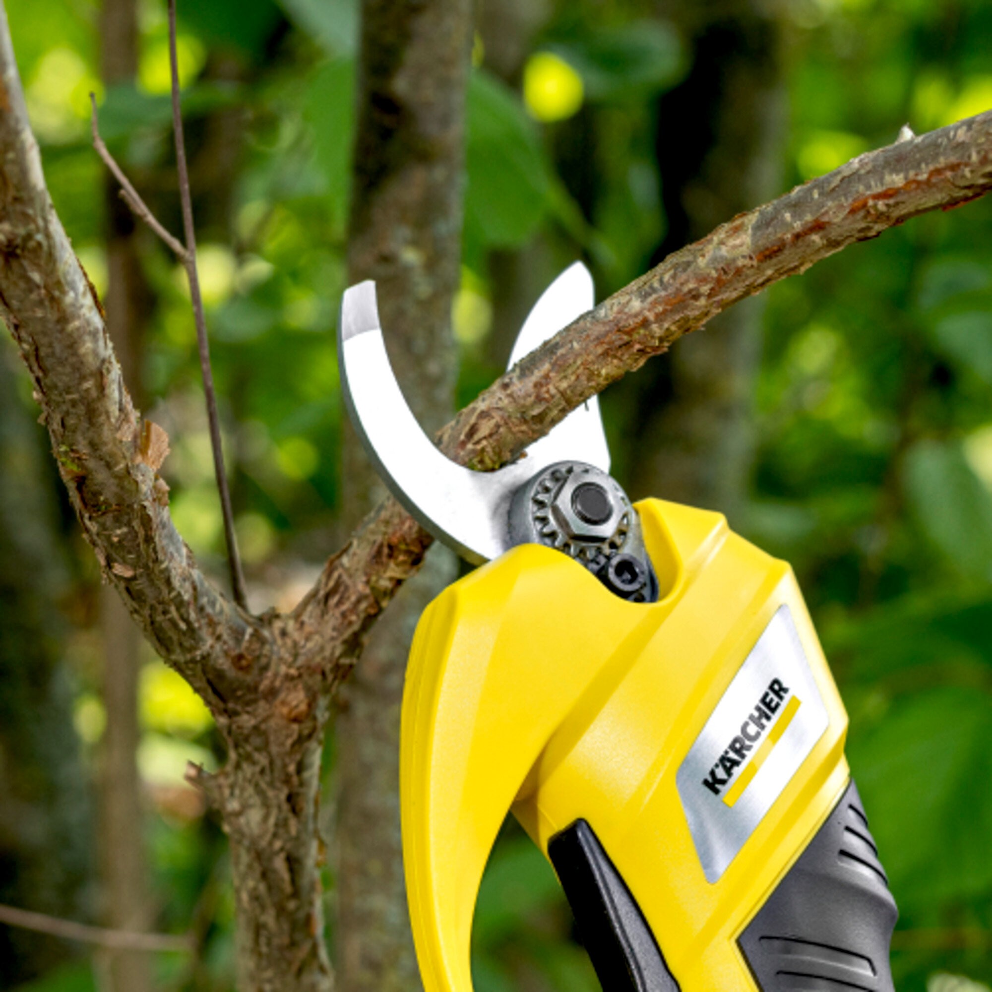 Podadora a batería TLO 2-18