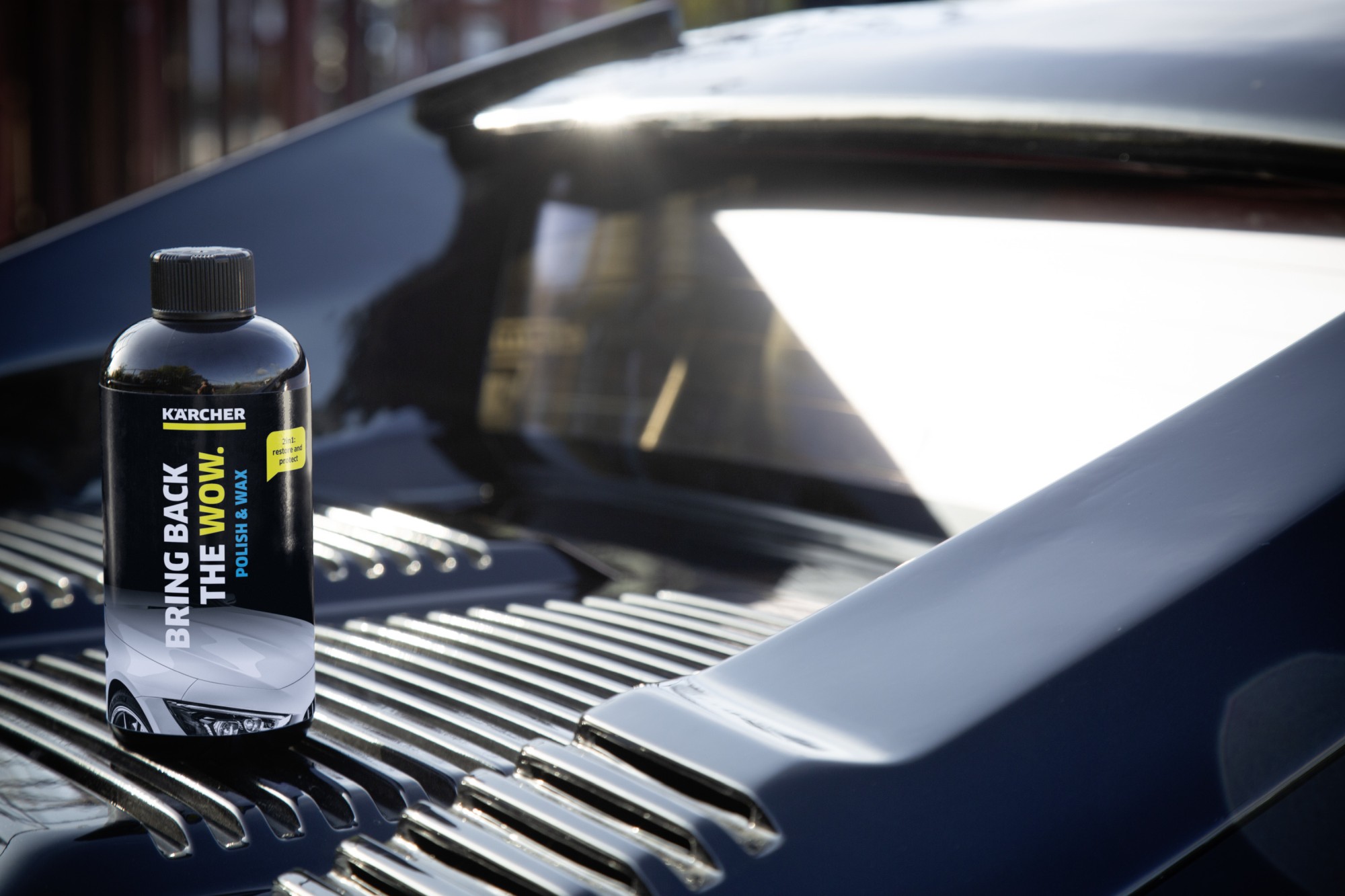 Pulido y cera RM 660