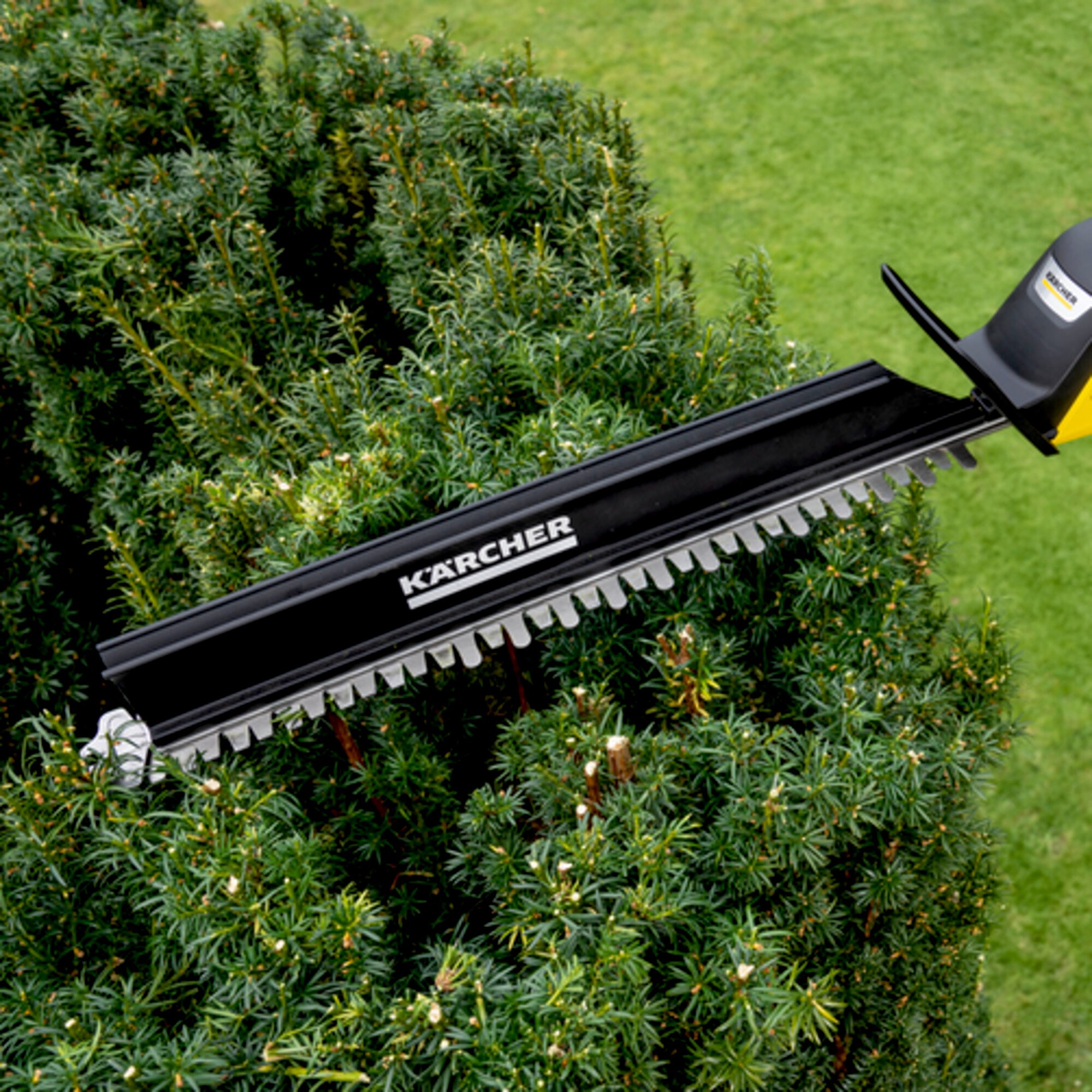 Cortasetos telescópico a batería PHG 18-45 Battery