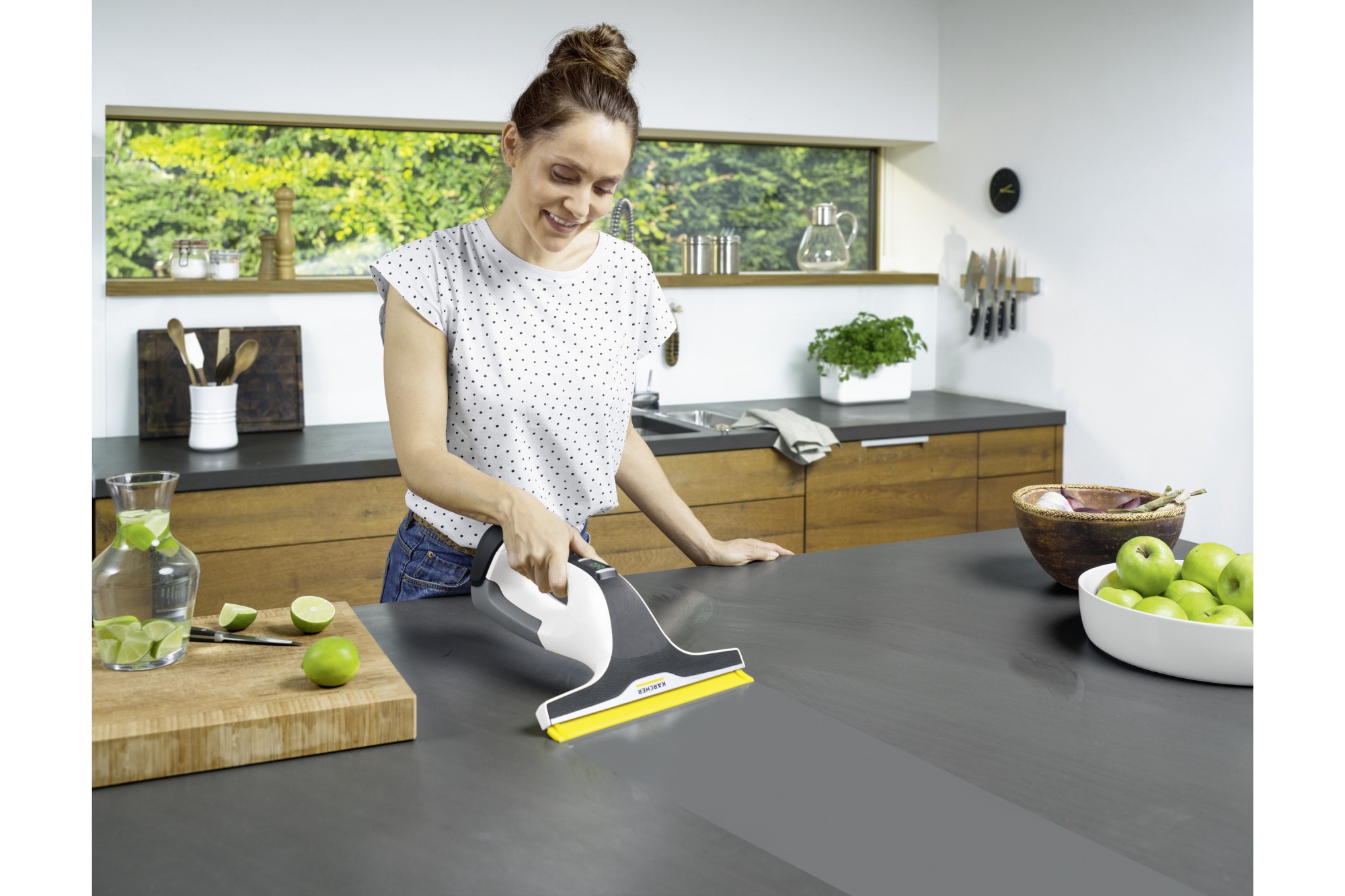 Limpiadora de cristales a batería WV 6 Plus