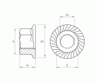 DIN 6923 A4, Tuerca brida grafilada con balona en acero inoxidable A4