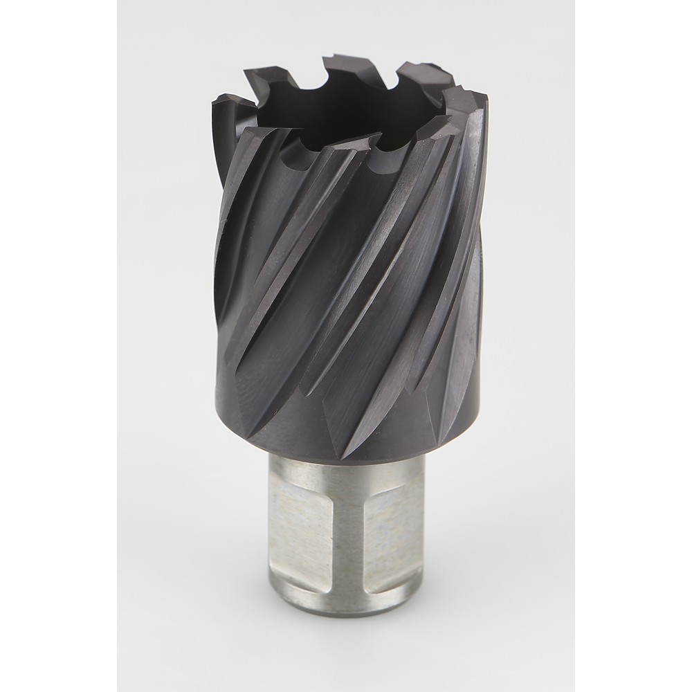 250T | FRESA BLUE-MASTER PARA BASE ELECTROMAGNETICA 250C HSS-Co TIALN