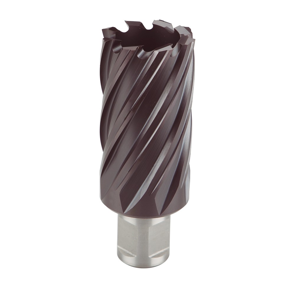 500T | FRESA BLUE-MASTER PARA BASE ELECTROMAGNETICA 500C HSS-Co TIALN