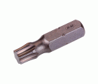 TORX-25 | PUNTA BLUE-MASTER DE ATORNILLAR TORX