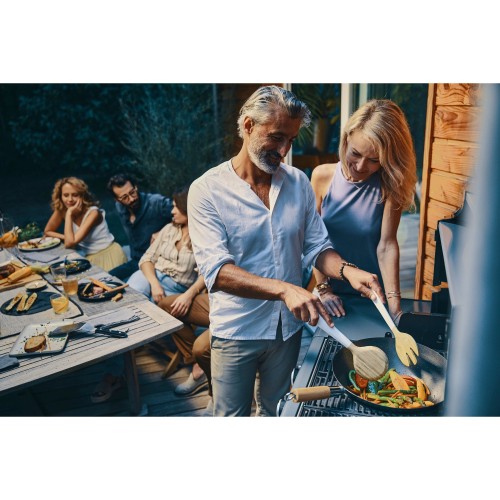 Wok - Módulo Culinario