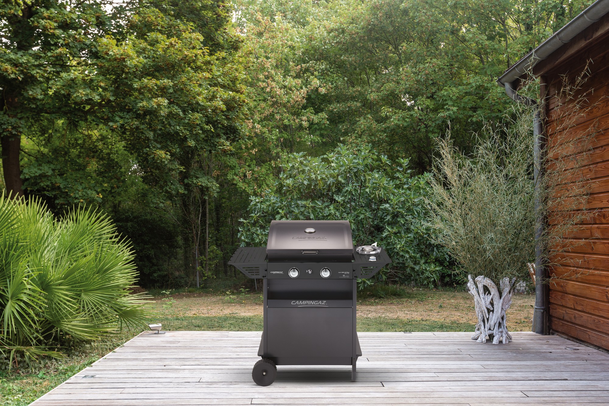 BBQ Xpert 200 LS Plus - Rocky