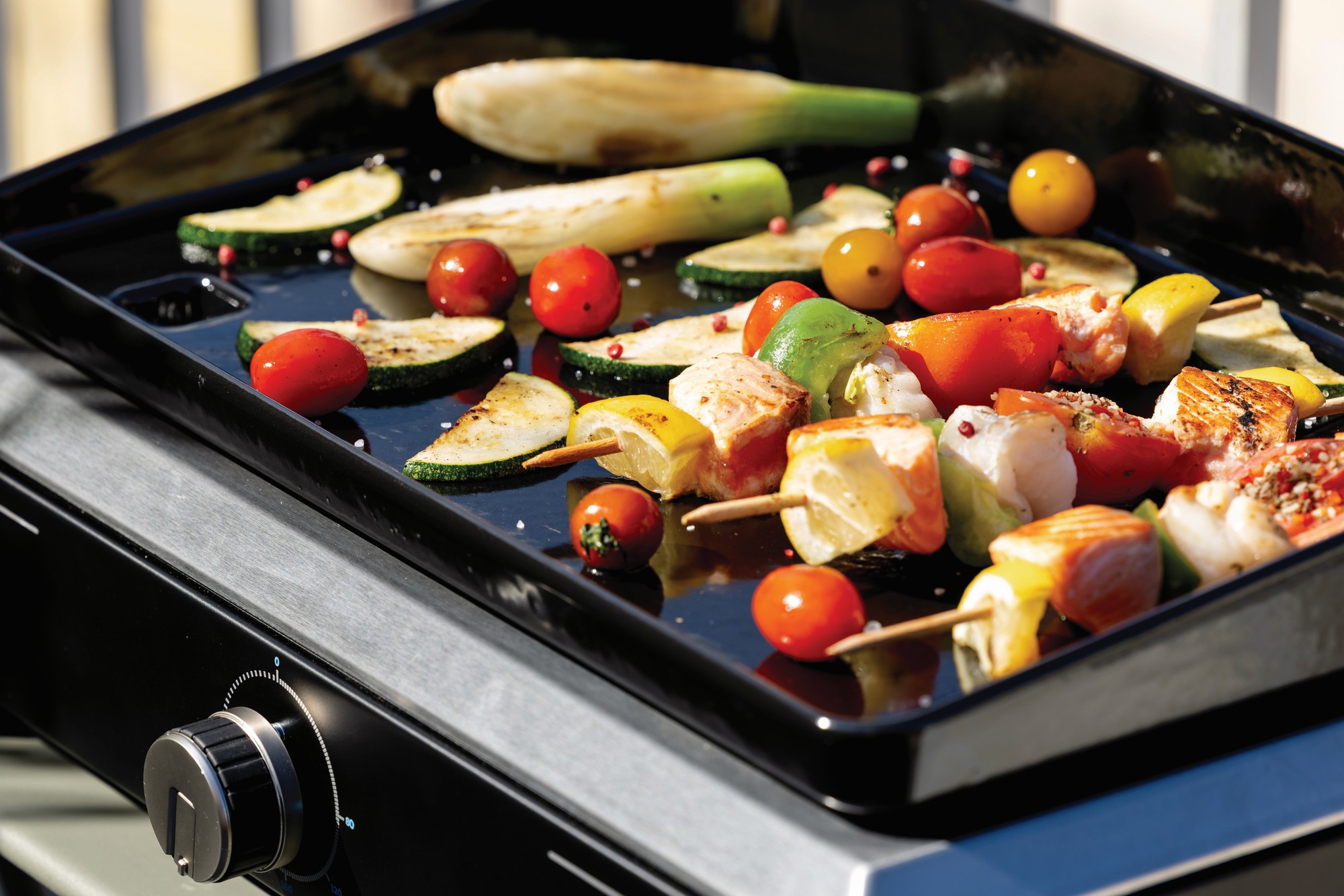 Plancha Electric 1XD