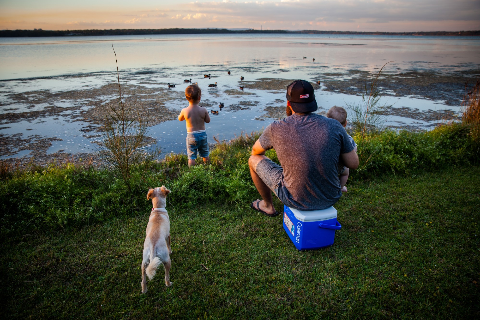 Nevera Rígida 16QT PERFORMANCE (15L)