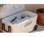 Nevera MARINE XTREME 100QT con ruedas (94 L).