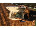 Nevera COLEMAN PRO 45QT (42,5L)