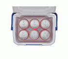 Nevera Rígida 5QT PERFORMANCE Personal (4,7L)