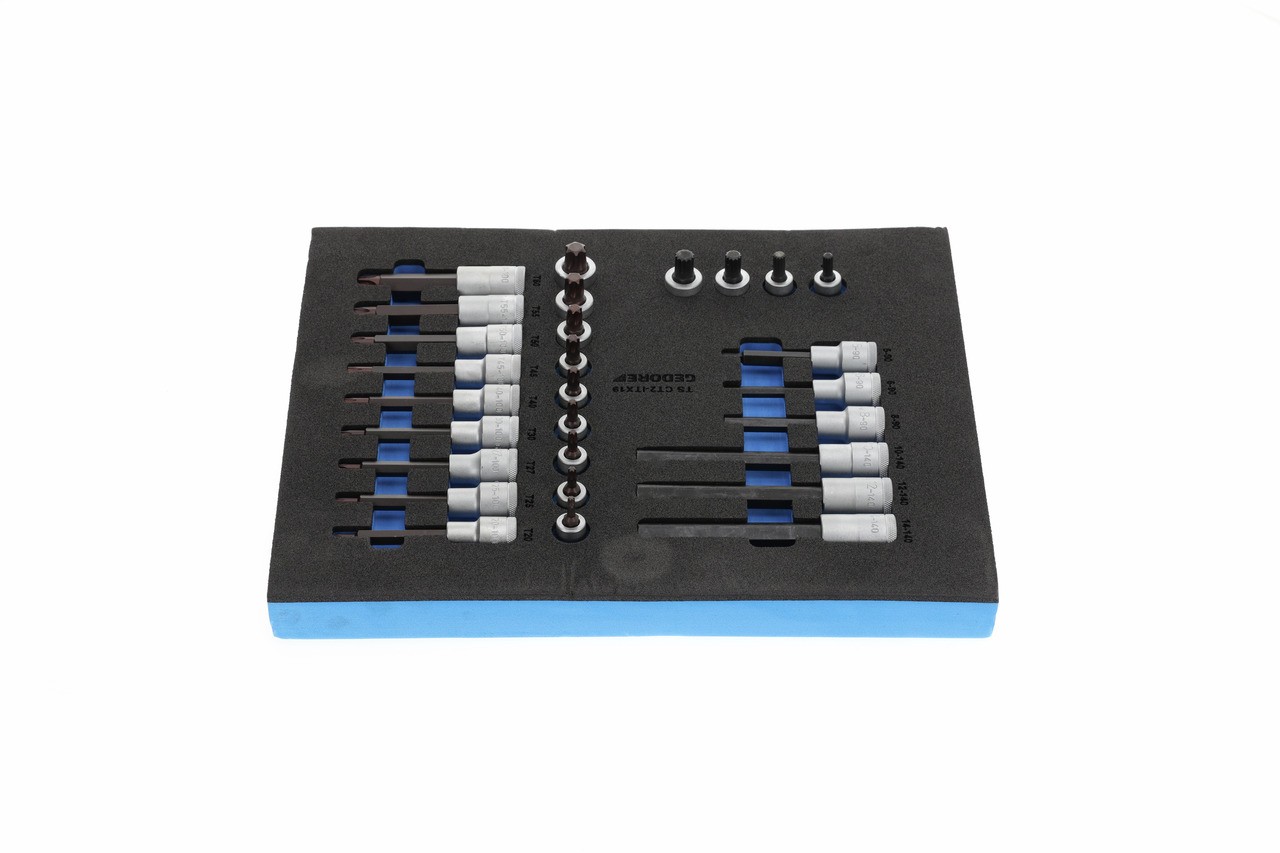 TS CT2-ITX19 Juego de insertos para destornillador 1/2" en módulo Check-Tool 2/4