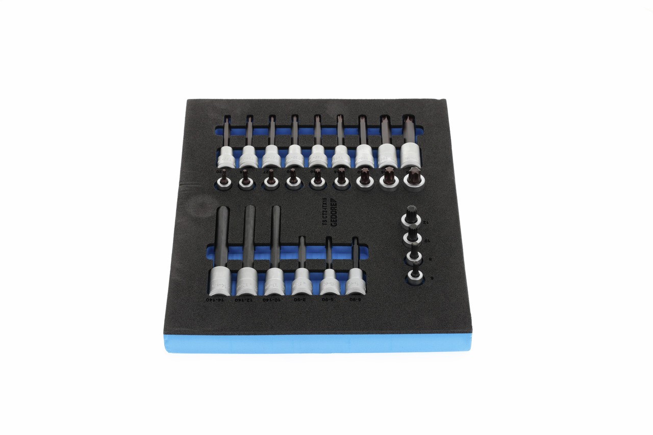 TS CT2-ITX19 Juego de insertos para destornillador 1/2" en módulo Check-Tool 2/4